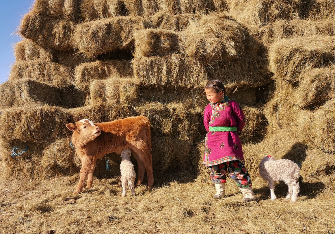 ,,Къде е мама?" от Сън Уанцин (Китай) - HUAWEI Mate 20