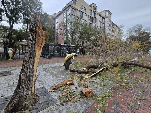 След ураганния вятър и обявеното бедствено положение учениците във Варна