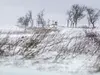 Сняг в България