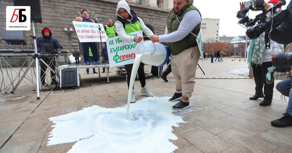 Земеделски стопани и животновъди отново излязоха на протест пред земеделското