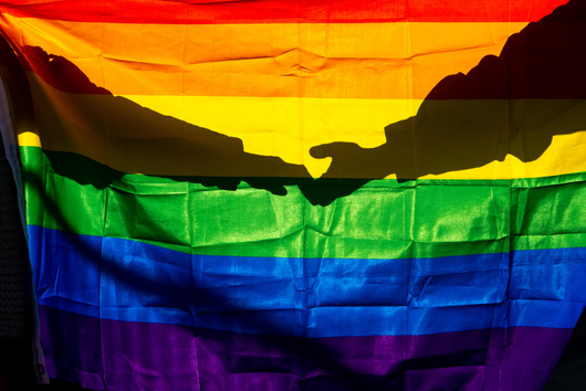 Русия забрани ЛГБТ движението, обяви го за "екстремистка организация"