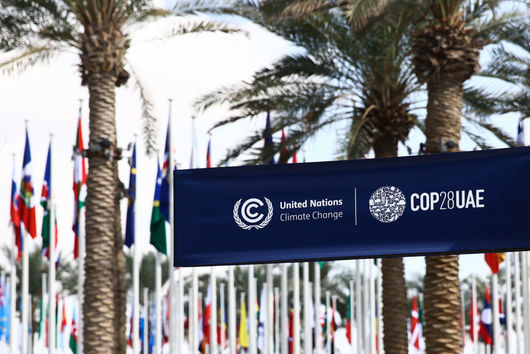 Всичко, което трябва да знаем за COP28 в Дубай