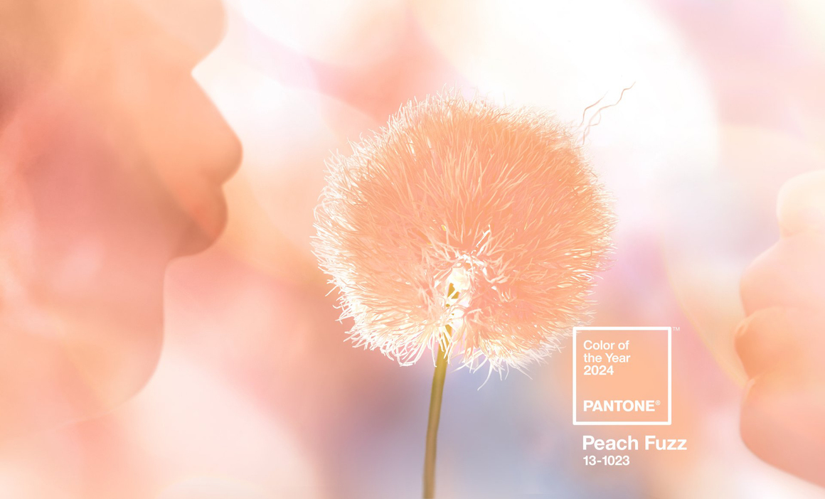 Какво символизира Peach Fuzz - цветът на Pantone за 2024 г.