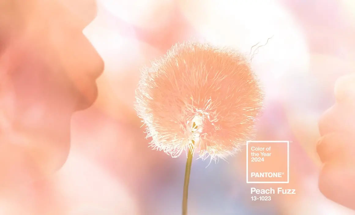 Какво символизира Peach Fuzz - цветът на Pantone за 2024 г.