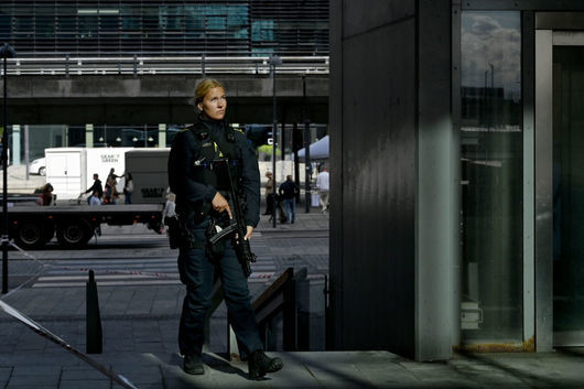 Четирима души са арестувани в Дания и Нидерландия по подозрение