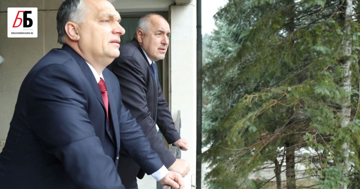 Лидерът на ГЕРБ Бойко Борисов е разговарял с унгарския премиер