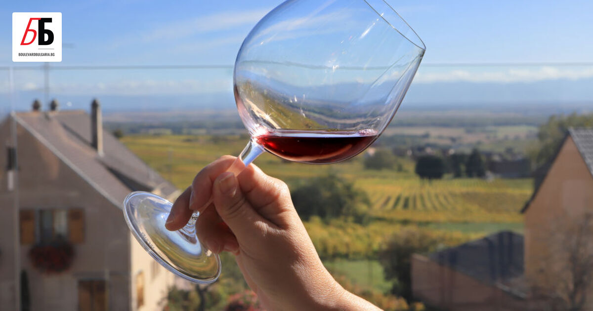 Близо 50 експерти във Франция в областта на борбата със