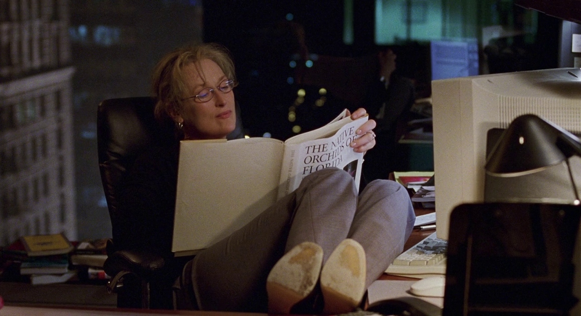Adaptation (2002)
<br><br>
Една от малкото поддържащи роли, които попадат в нашата класация.
<br><br>
Мерил играе Сюзан Орлеан - писателка, която публикува книгата "Крадецът на орхидеи". Чарли Кауфман (Николас Кейдж) получава задачата да направи нейна филмова адаптация, но е затормозен, тъй като историята е увлекателна, но липсва драматична развръзка.
<br><br>
Героят на Кейдж, който страда от ниско самочувствие, решава да потърси Орлеан лично, за да успее да открие липсващото в книгата от самата нея.
<br><br>
Изведнъж книгата до голяма степен оживява, като двамата се оказват част от сюжет с доста драматични моменти.
<br><br>
От усмихната и безгрижна, успяла жена, Стрийп се превръща в човек със зависимости, изправен пред криза на средната възраст. Успява да направи прехода безупречно.