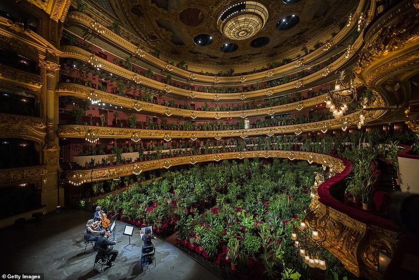 2300 растения вместо публика, така свърши извънредното положение в Барселона