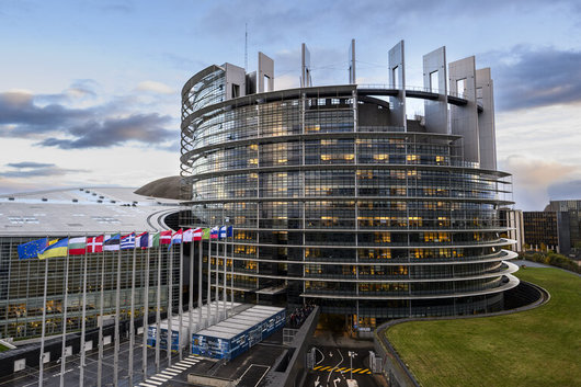 Google, TikTok и Европейският парламент започват кампании срещу дезинформацията преди евровота
