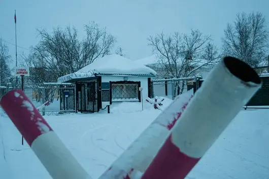 "Полярен вълк" - затворът за "особено опасни рецидивисти", в който загина Навални 