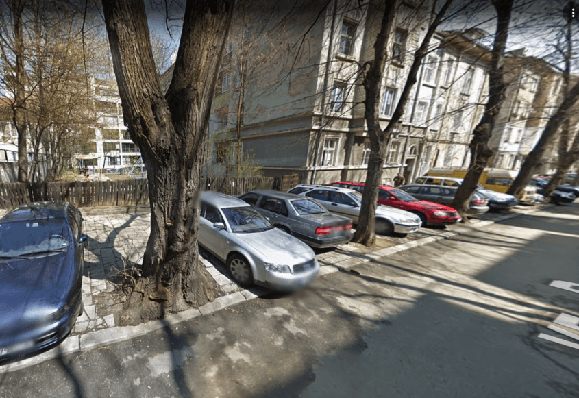 Дърво падна и удари кола на метри от Докторската градина в центъра на София