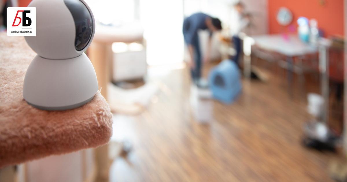 Световната платформа за отдаване на имоти под наем Airbnb обяви,