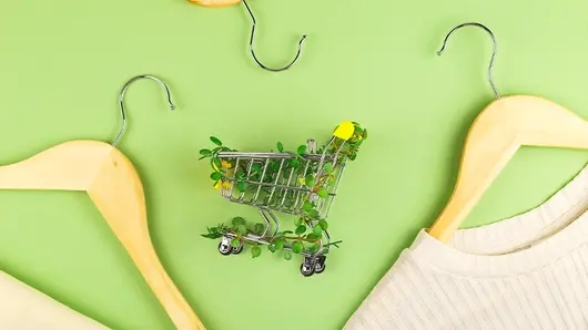 Как да избегнем капаните на свръхпотреблението и да спестяваме с грижа за природата