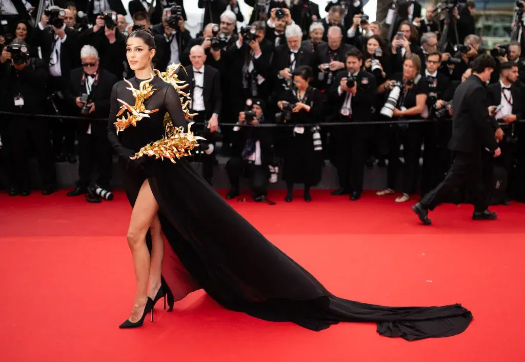 Ирис Митнаер