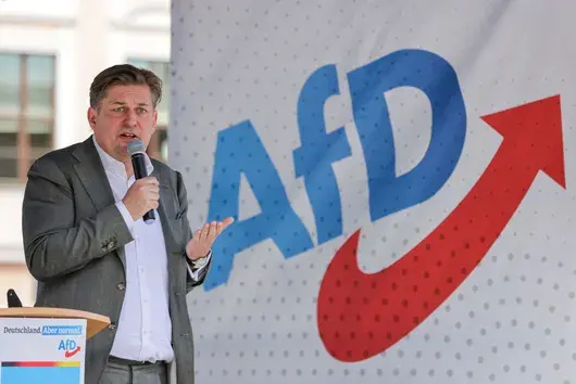 Крайнодясната AfD е втора сила на евровота в Германия. Провал за Зелените