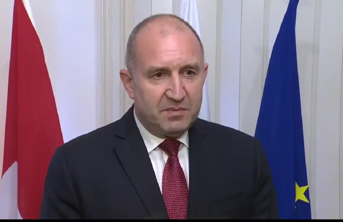 Радев: Хора, които през живота си са стискали само детско пистолетче, a не нещо друго, вземат решения