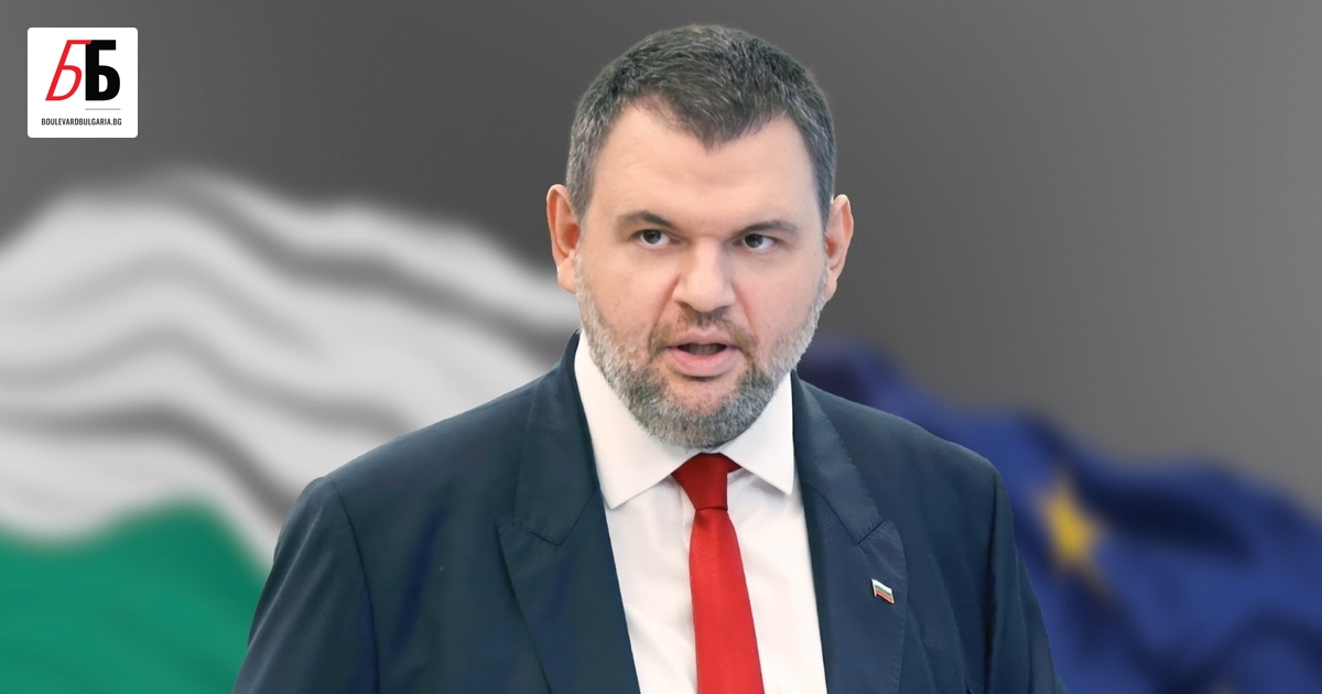 ДПС и ИТН са единствените две партии, които влизат в