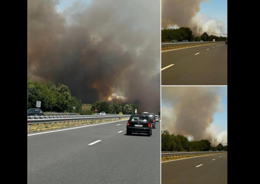 Затвориха автомагистрала "Хемус" в посока Варна – Шумен заради пожар 