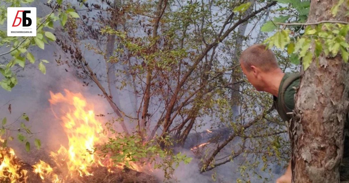 Пожарникари и доброволци продължавам борбата с пожарите в цялата страна.Към