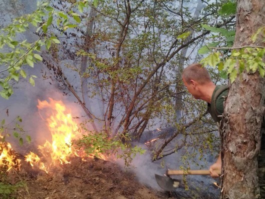 Евакуираха дом за възрастни хора заради пожарите в ямболското село Воден