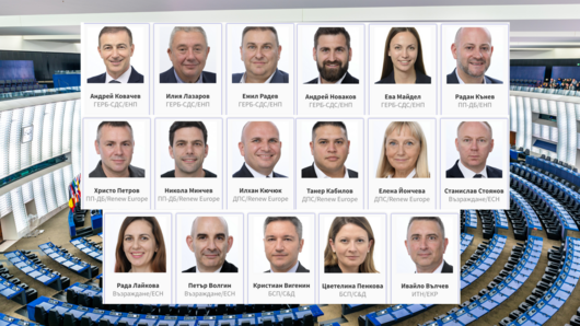 Българските евродепутати и кой с какво ще се занимава в Европарламента
