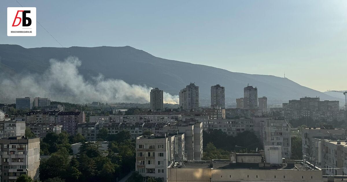 Пожар е избухнал край София в подножието на Витоша. За