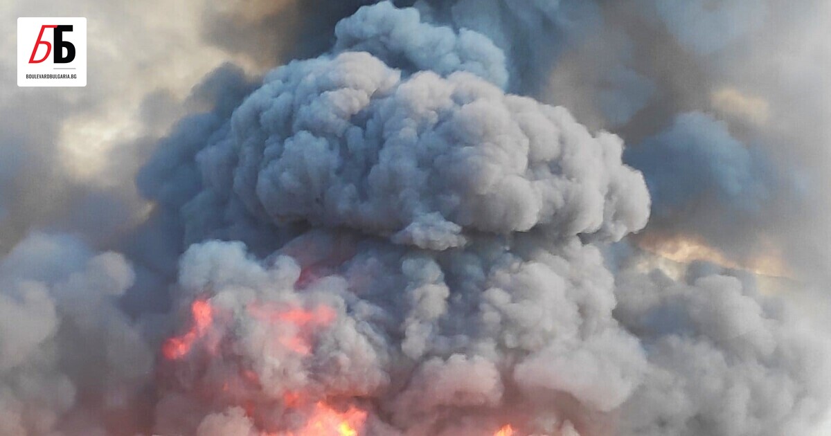 Няколко екипа от Пловдив гасят голям пожар на сметището край