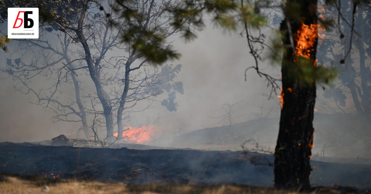 Продължава да гори пожарът, който избухна в петък вечер в