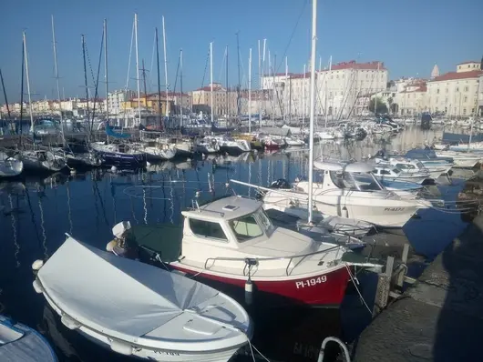 С помощта на църквата и консервативните партии словенците смениха мнението си за евтаназията