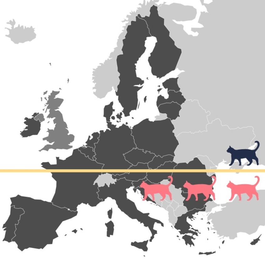 карта на Европа на осиновените котки