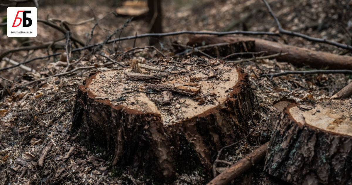 През 2014 г. в община Ихтиман се реализира европейски проект