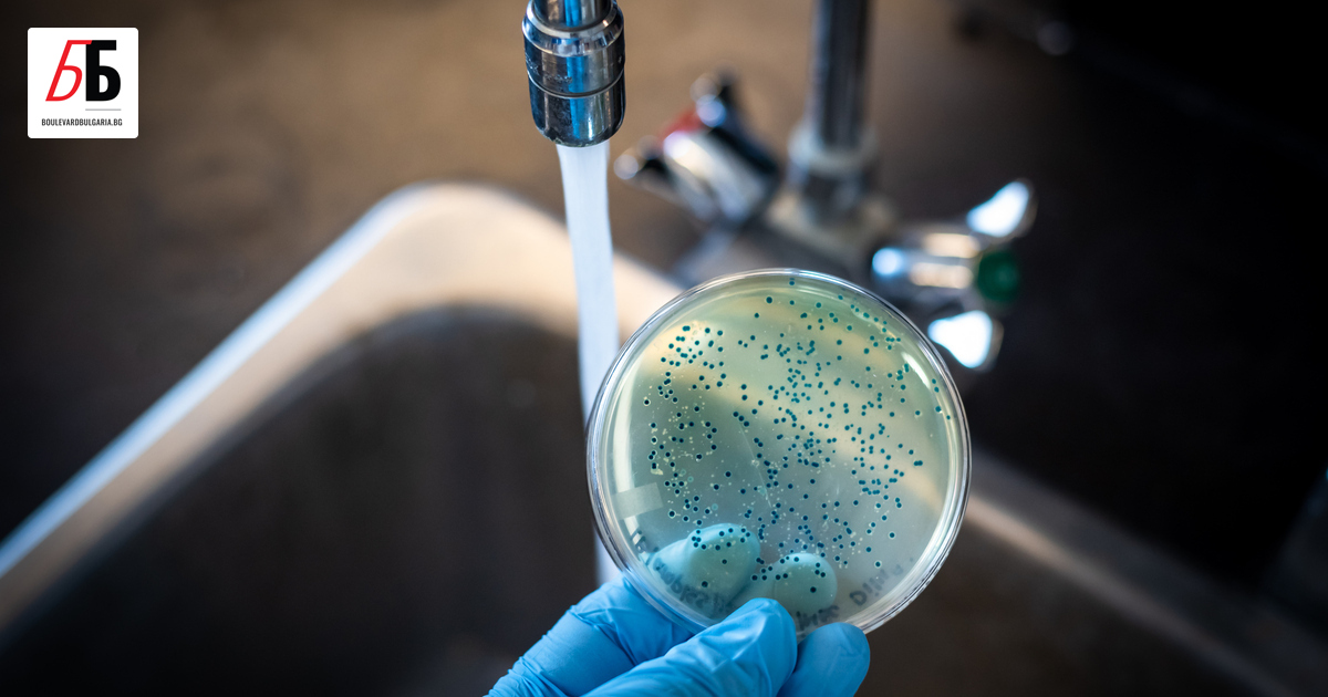 Внeсен случай на холера е регистриран в България за първи