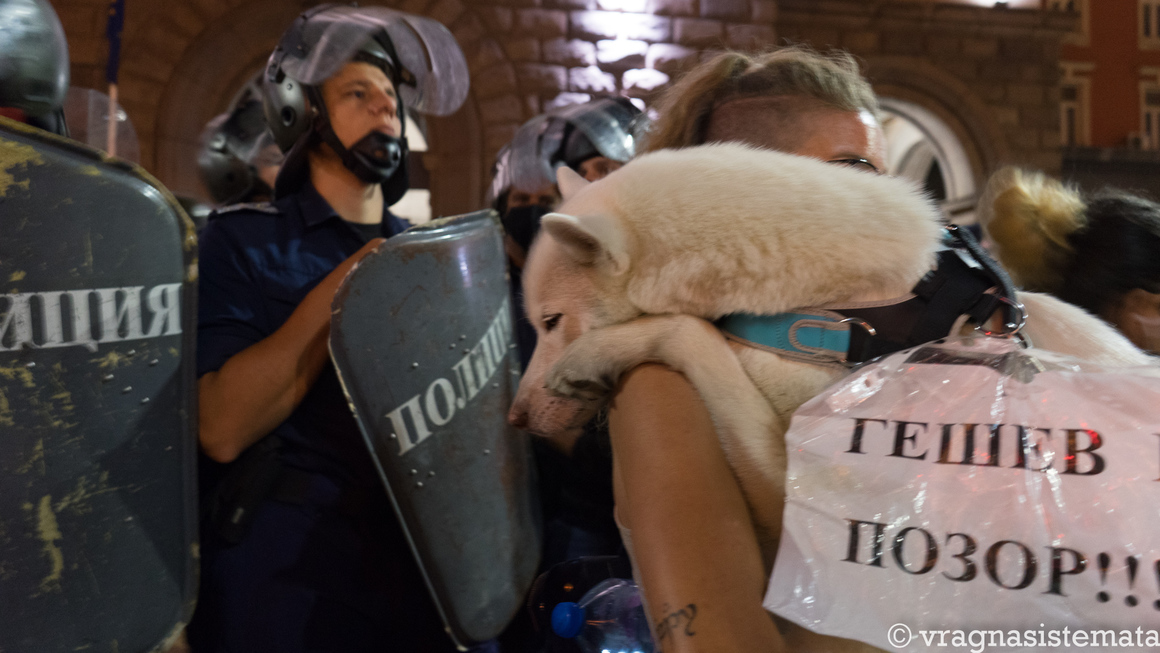 Дори домашните любимци на протестиращите имат какво да кажат на властта