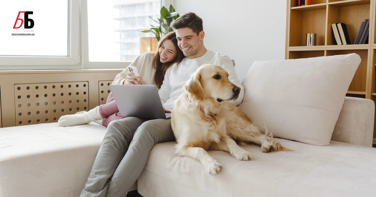 Ноември е онзи период от годината, в който лошото време