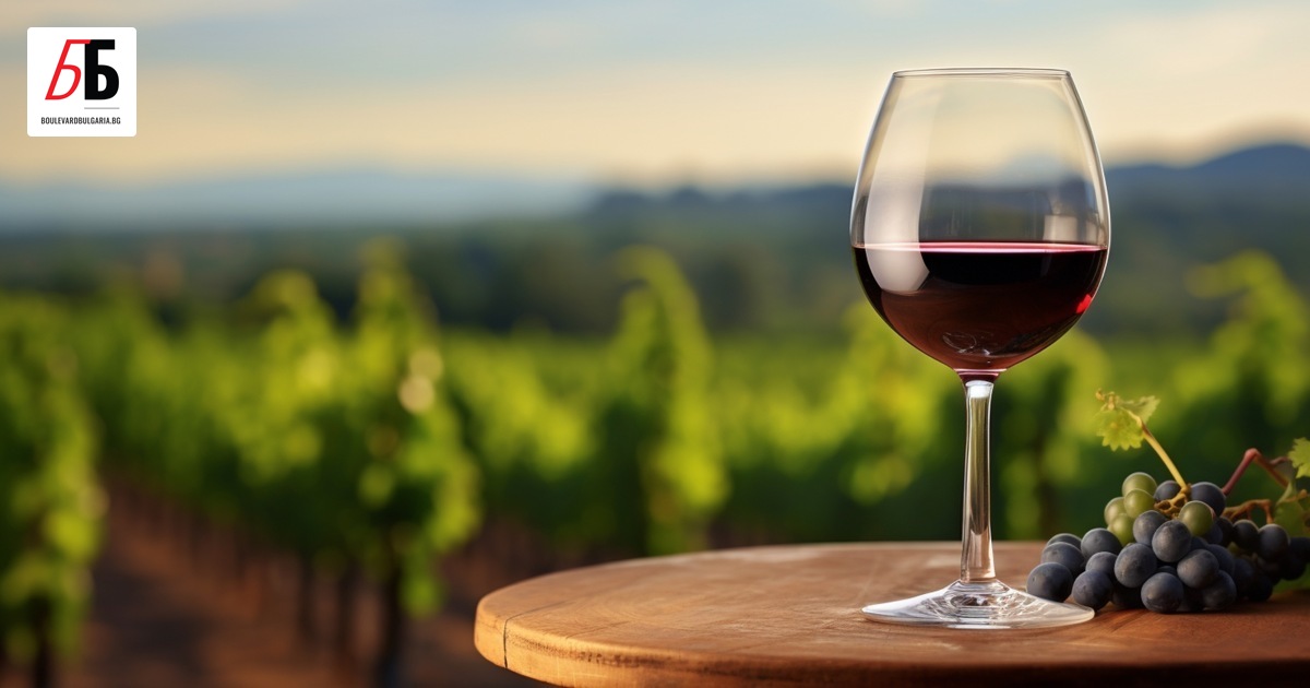 Родината му е Източна Франция. Там, където полята са осеяни