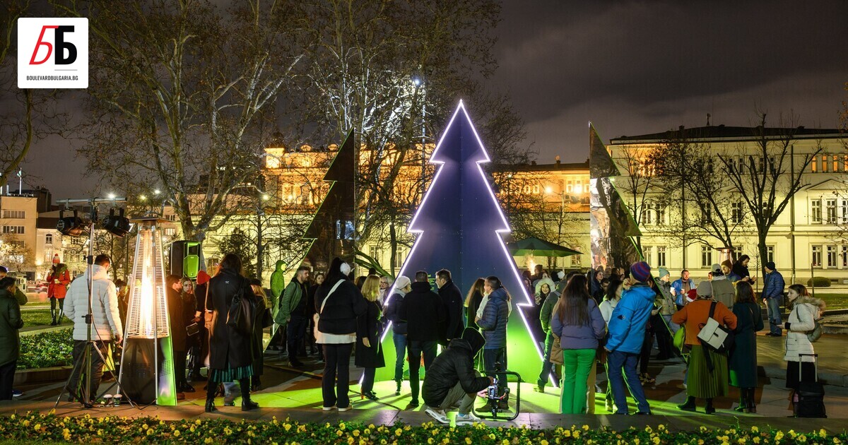 От днес до 15 януари петметрова огледална елха ще осветява