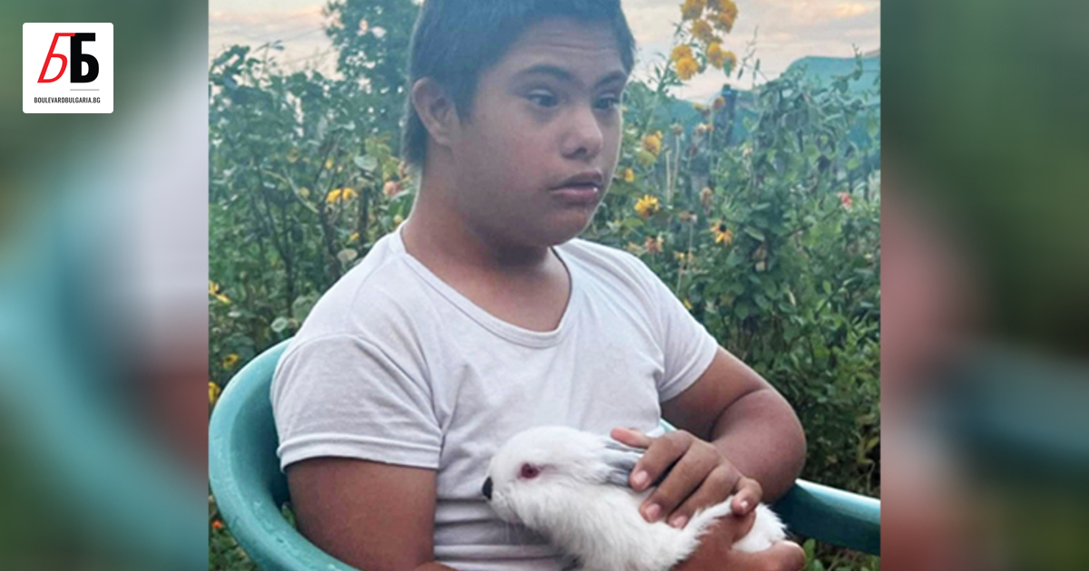 Кучето на 13-годишното момче със синдром на Даун, което изчезна