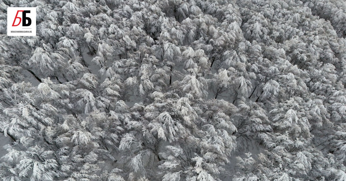 Гранична полиция потвърди за това, че трима мигранти са открити