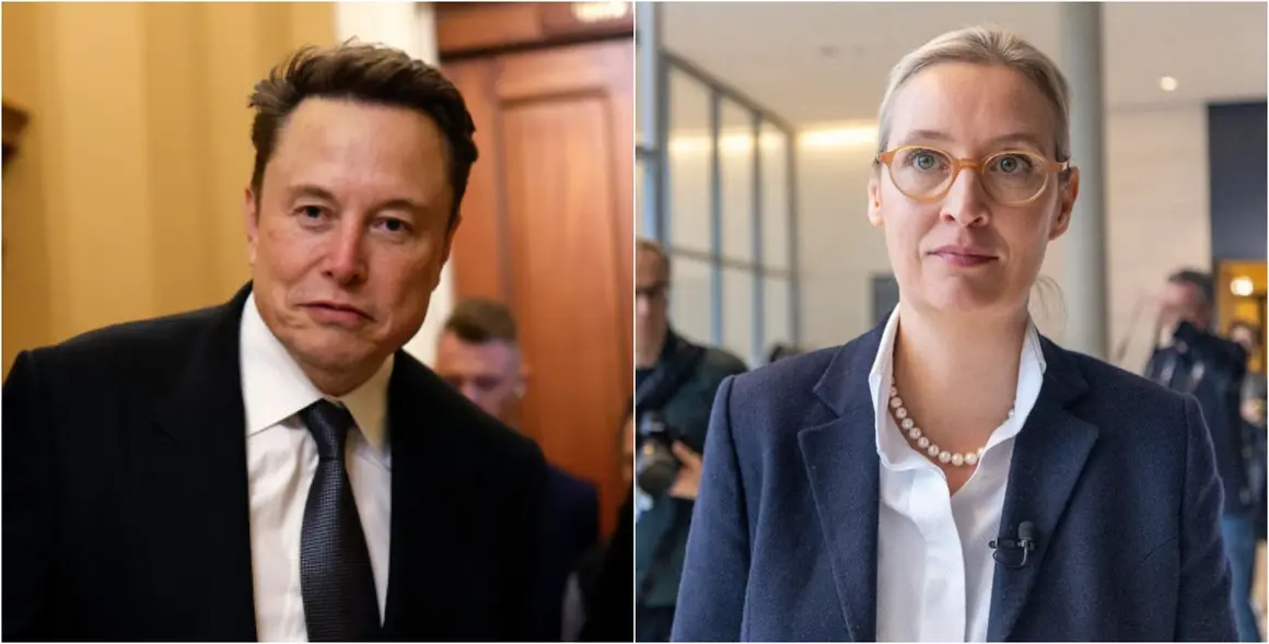Динозаври, Марс и фалшиви новини - какво си казаха Мъск и Вайдел