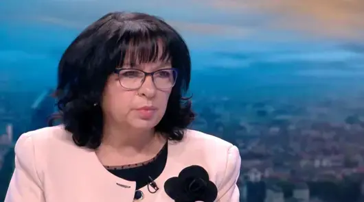 Правителството само си е решило да не иска извънредна оценка за еврото сега