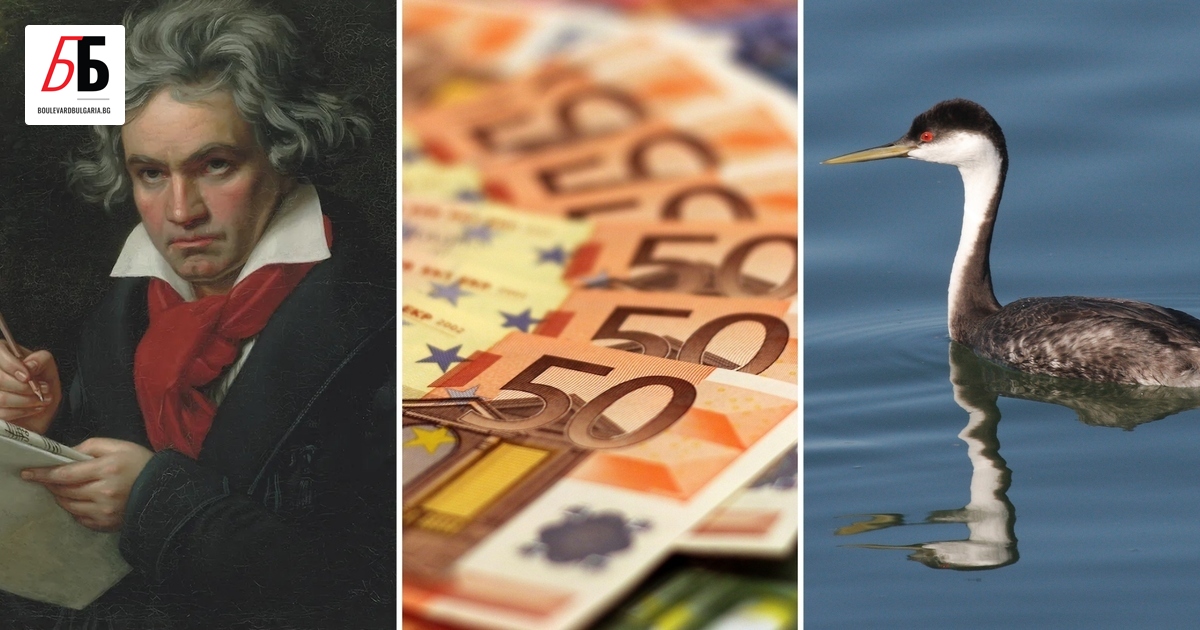 Европейската централна банка (ЕЦБ) за първи път ще обнови дизайна