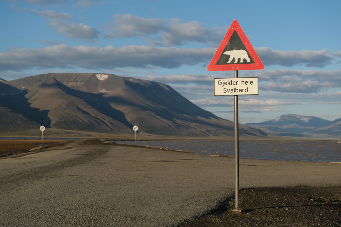 Горещините променят до неузнаваемост най-северните планински райони. Норвежкият архипелаг Свалбард, разположен на север от Арктическия полярен кръг, постигна нов рекорд от 21,7 градуса по Целзий в последните дни на юли. Пътните знаци с предупреждения за бели мечки изглеждат странно на летния пейзаж. 