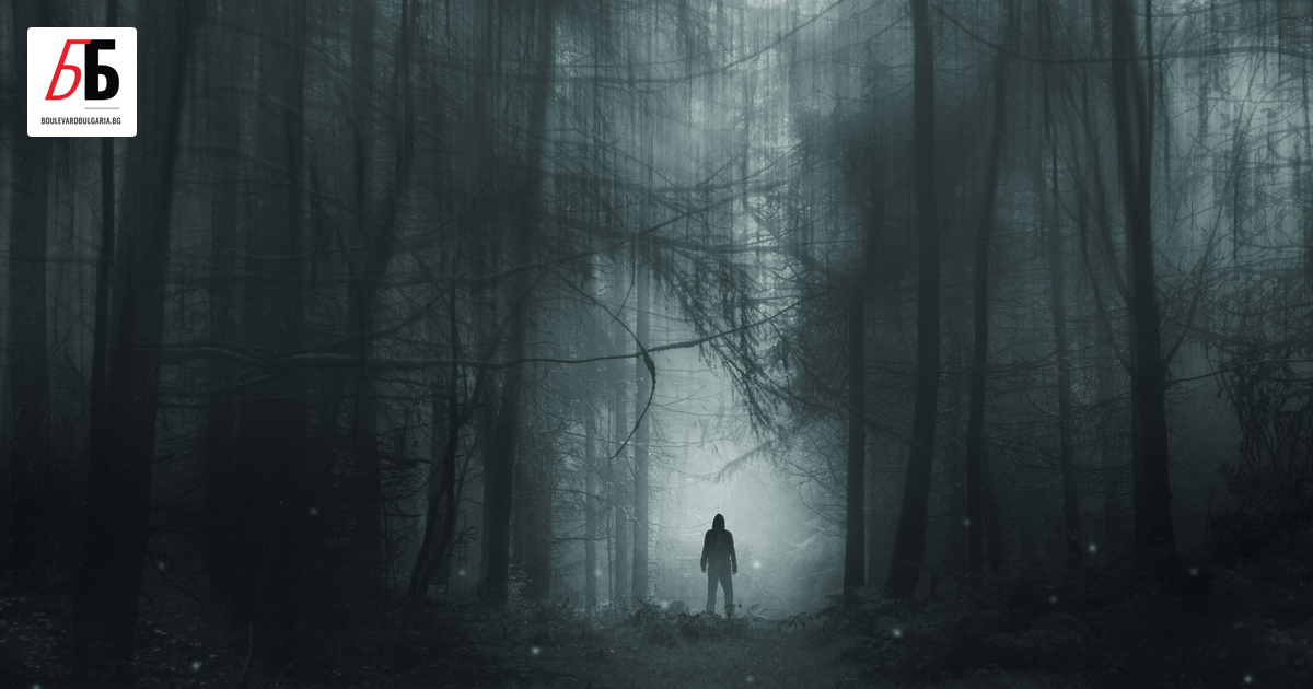 Проф. д-р Михаел Шредл е научен ръководител на лабораторията за