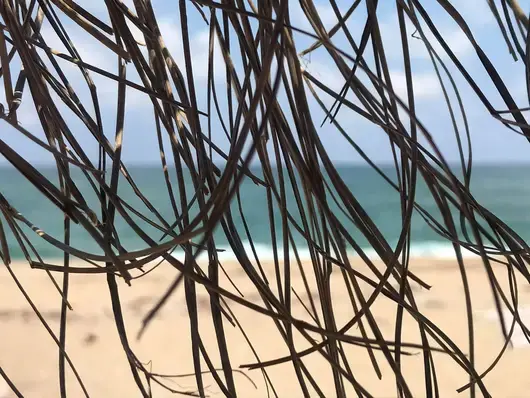 Веселите поръчвачи E12