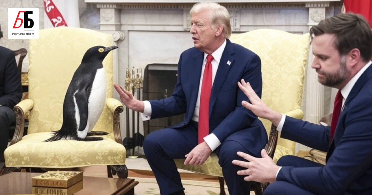 Горките пингвини, не знам какво са сторили на Тръмп -