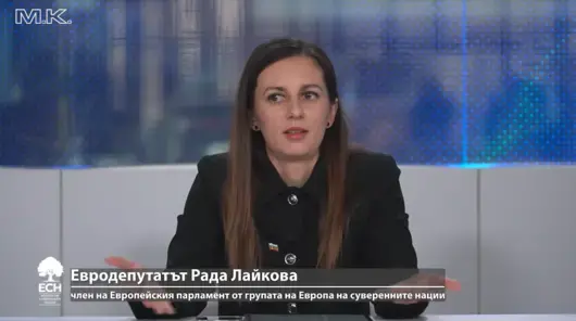 Коя е евродепутатката, която смята, че Брюксел слага "срок на годност" на заплатите