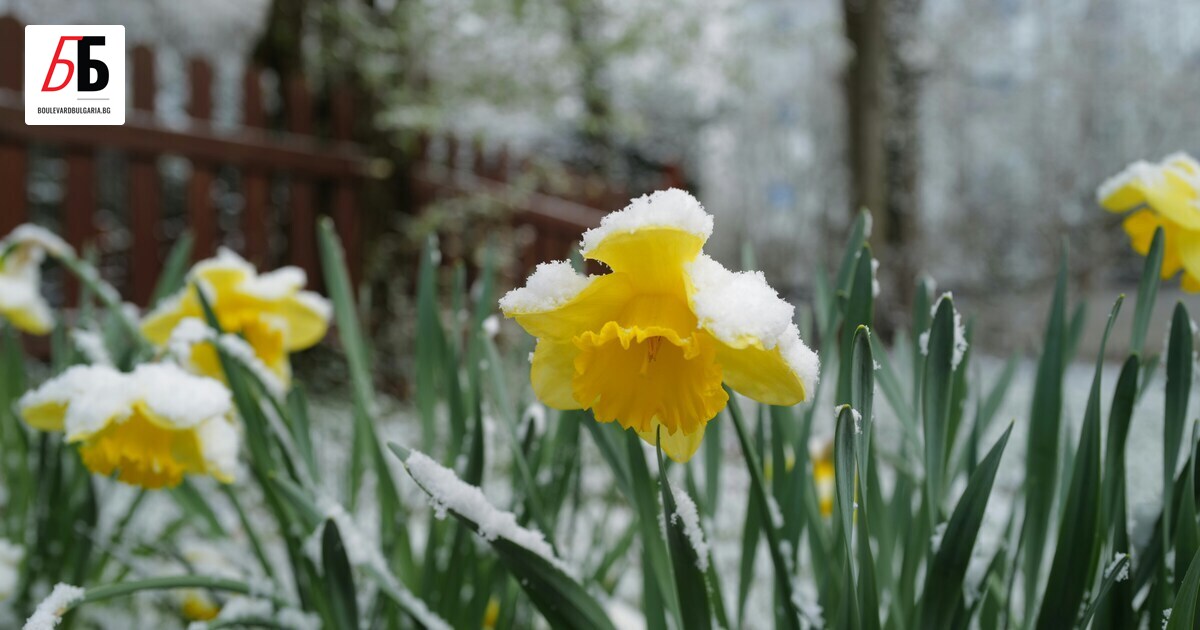Валежите от сняг и дъжд продължават и в понеделник, но