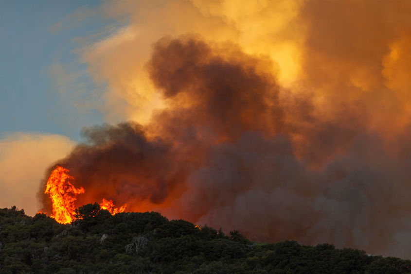 В Свиленградско отново пламна голям пожар
