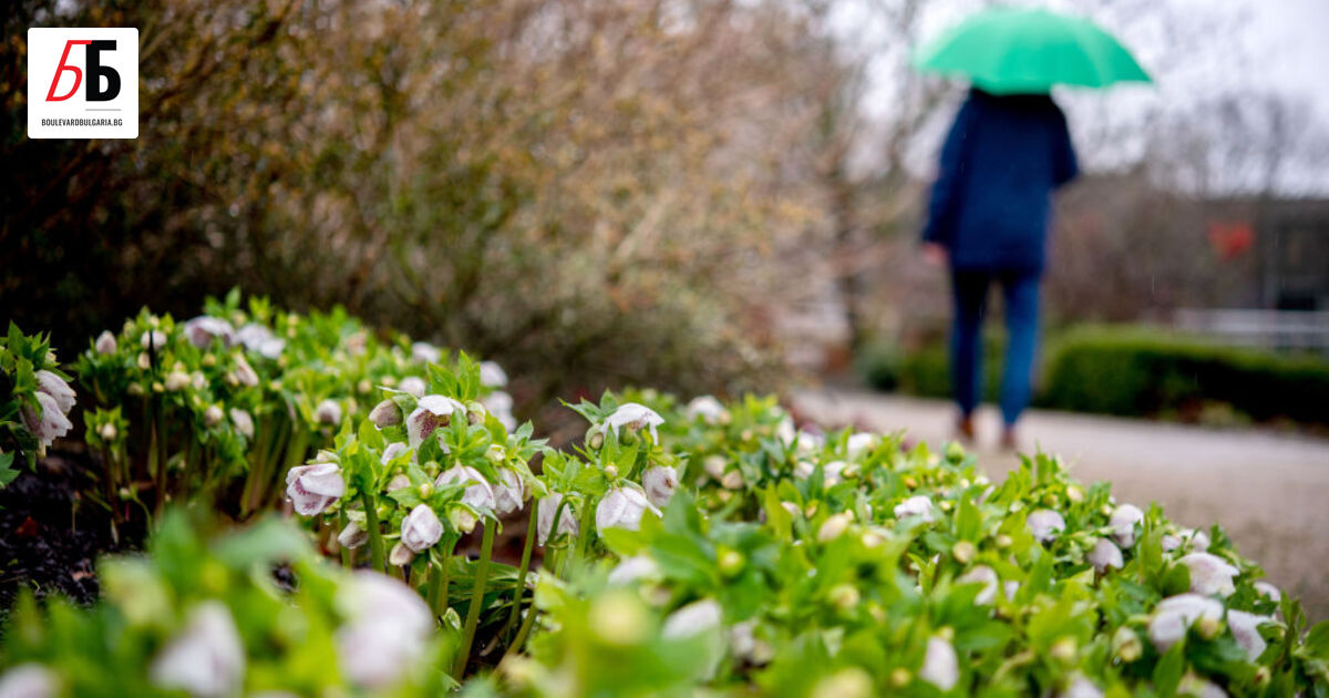 Четирите почивни дни за Великден започват с дъжд. Жълт код
